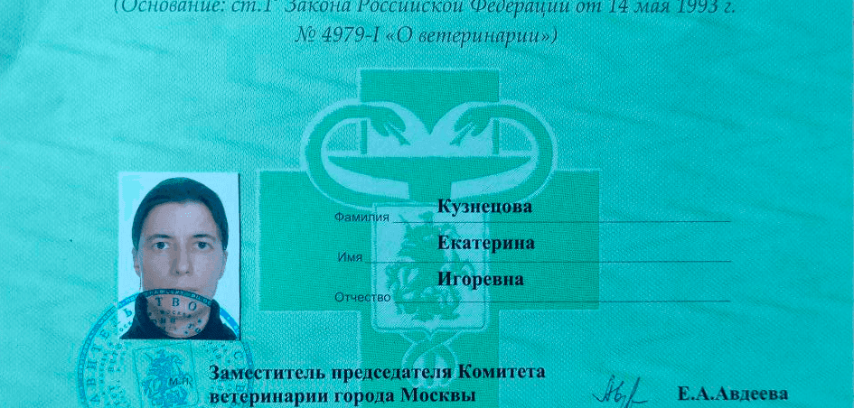 Рефлексотерапия животных