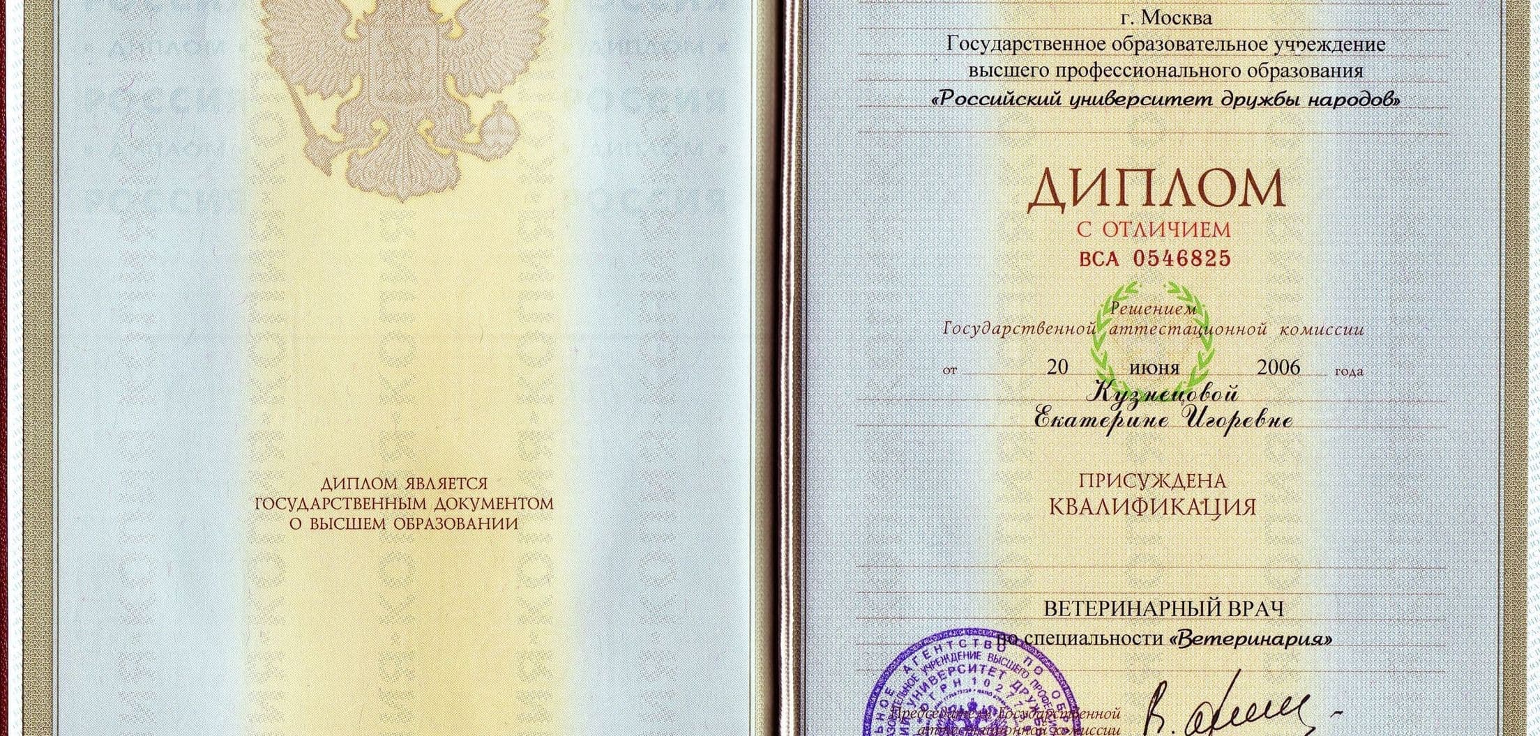 Диплом РУДН